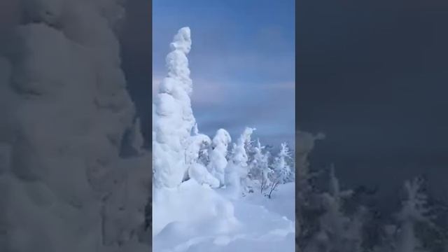 Сказочная зима??? смотреть онлайн
