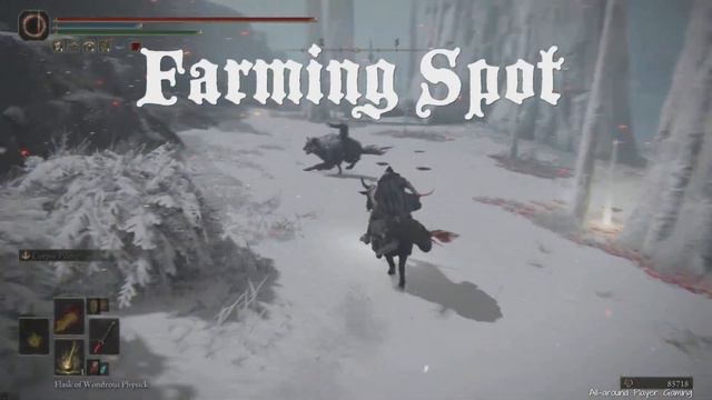 Elden Ring Secret Female Armor ! Elden Ring Blue Silver Mail Armor Location + Epic Albinauric Bow! смотреть онлайн