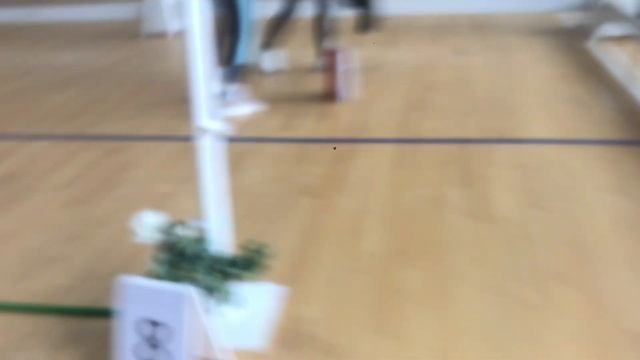 Мои первые соревнования по хоббихорсингу! смотреть онлайн