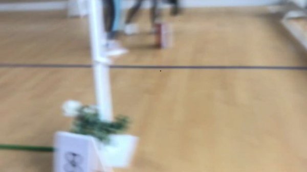 Мои первые соревнования по хоббихорсингу!