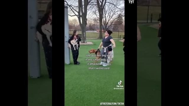 Karen Shows Exactly What NOT To Do At The Dog Park смотреть онлайн