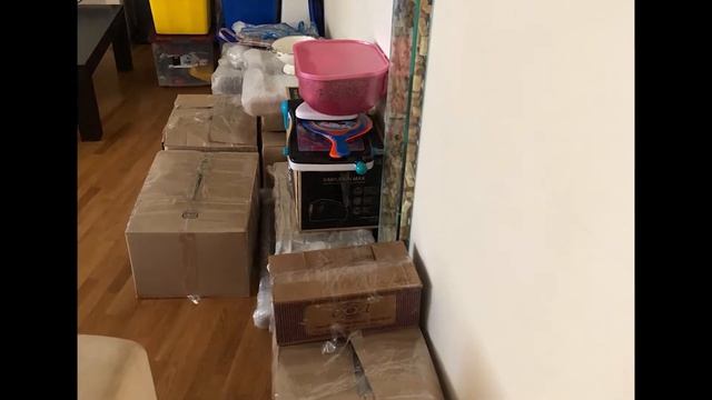 Переезд из Томилино в Великий Новгород на ПМЖ Отзыв смотреть онлайн