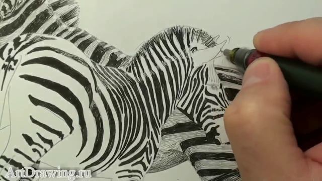 Рисуем зебры тушью смотреть онлайн