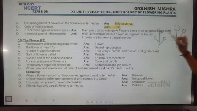 LIVE | Class XI | Unit I | Diversity In Living World | Complete Revision NEET 2020 | Part 02