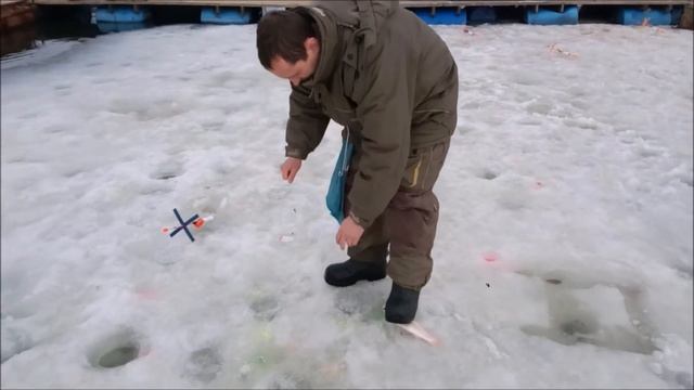 Рыбалка на льду в Савельево-1! 22.03.17 смотреть онлайн