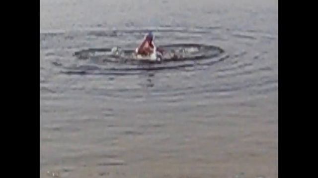 Водохреща 2012 з «Ампера» смотреть онлайн