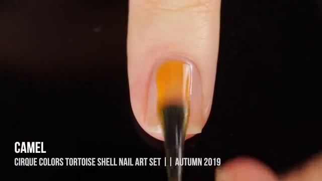 3 EASY No Tools Jelly Nail Art Designs - Cirque Nail Art Sets Review! || KELLI MARISSA смотреть онлайн