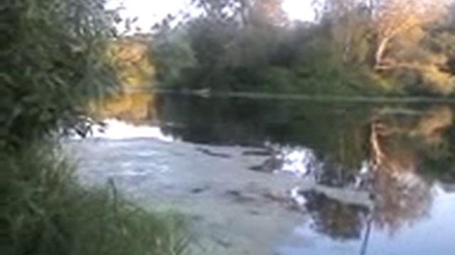 Рыбалка за Катуаром, село Марфино, пруд. МО. смотреть онлайн