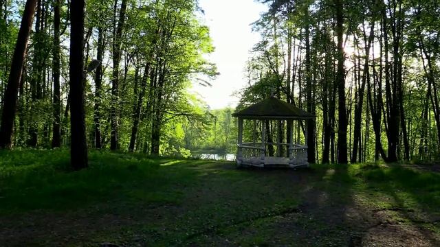 Путешествие на КОТоДоме, часть 9: Природный музей-заповедник «Полотняный Завод» смотреть онлайн