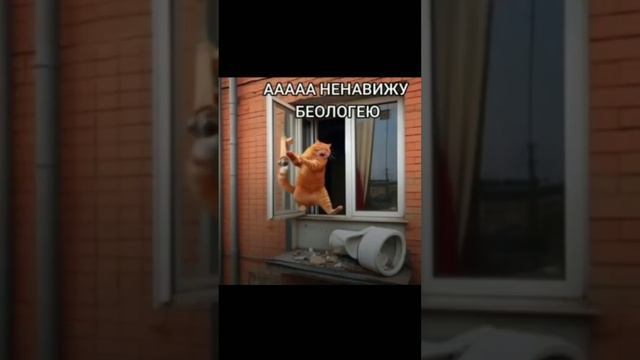 НЕ БУДУ БЕОЛОГЕЯ!!! #биология #biology #реки #рекомендации #рек #школа #кот #милота #мем #мемы #mem смотреть онлайн