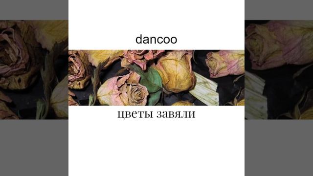 dancoo - Какаю стоя смотреть онлайн