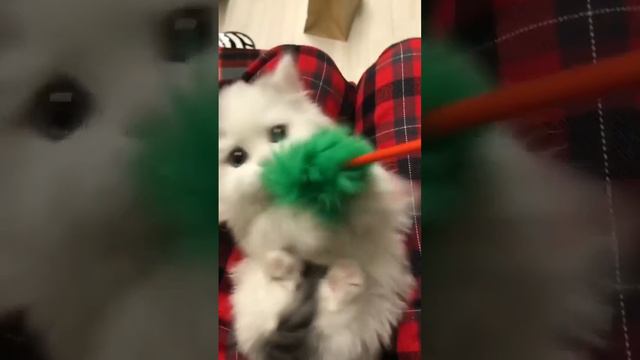 Пушок смотреть онлайн