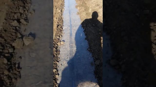 Сезон 2021г. Укладка пленки и капельной ленты. смотреть онлайн