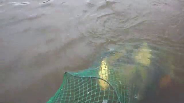 Ловля леща на озере. Отличная рыбалка смотреть онлайн