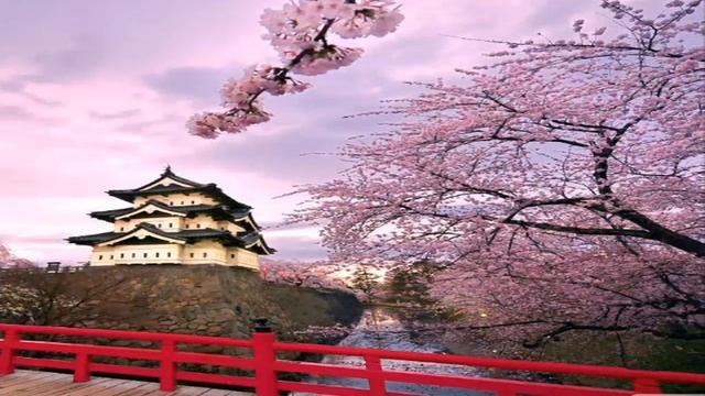 Мой день рождения (стих) Лусине Саакян, (Lusine Saakyan) смотреть онлайн