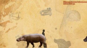 GIRAFFIDS, HIPPOS AND OTHERS - Size Comparison, All 4 animals Species.
