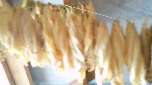 Выжелчивание табака и махорки. Красота без границ.