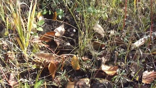 Чистота для каждого