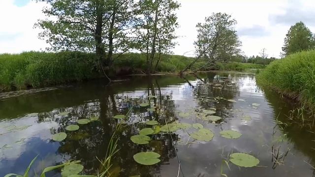 Один день на малой реке. Рыбалка нахлыстом как она есть, когда и без больших трофеев бывает классно смотреть онлайн