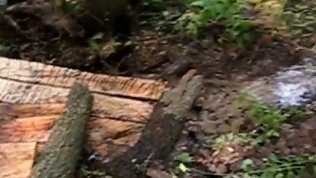 Родился новый родник