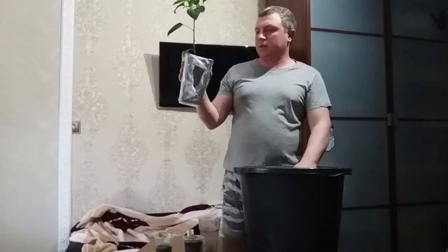 Можно ли заглублять перец при посадке?????Эксперимент!!! смотреть онлайн