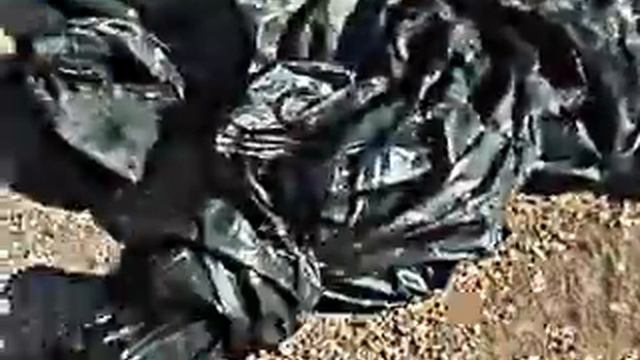 hallazgo de resto de brujeria смотреть онлайн