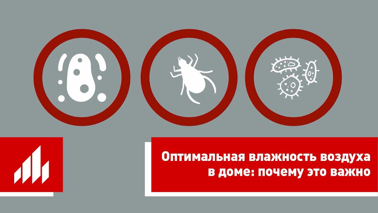 Влажность воздуха / Микроклимат в доме из керамических блоков смотреть онлайн