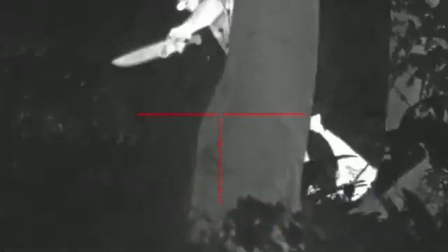 THERMAL sa32-25 LRF смотреть онлайн
