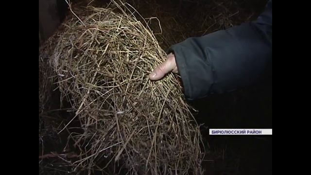 Оборудование для гранулирования кормов отзыв на телевидении смотреть онлайн