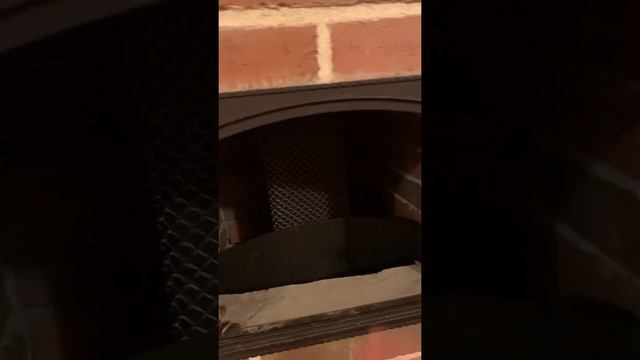 печка довольного Жихаря в кирпиче смотреть онлайн