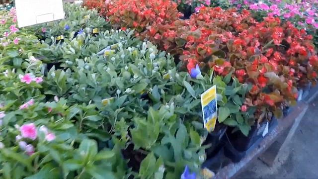 США Садовый центр магазина Lowe's