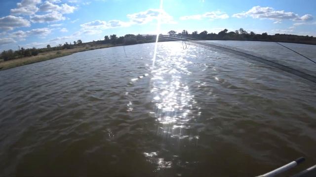Платный ставок в Недайводе проверенно рыба есть!