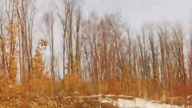 МР-155 Мультичок (поличек) смотреть онлайн