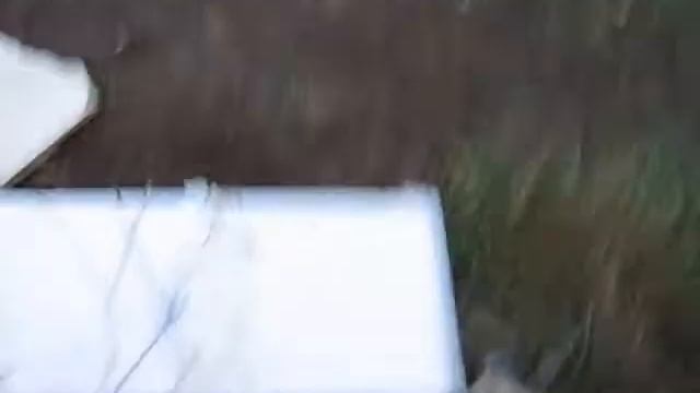Проверка нового концепта смотреть онлайн