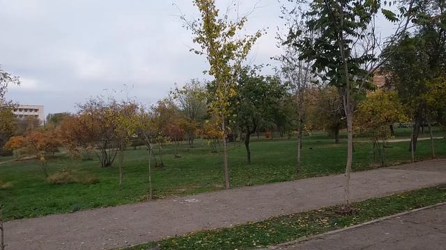 Угадай город, назови название парка..... смотреть онлайн