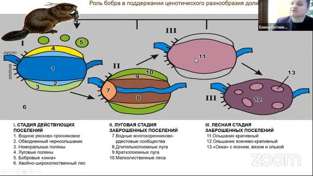 История природопользования на территории Брянского полесья
