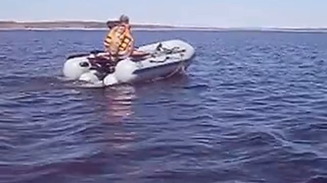 Фрегат фм 330 лайт смотреть онлайн