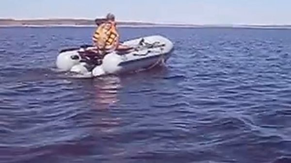 Фрегат фм 330 лайт