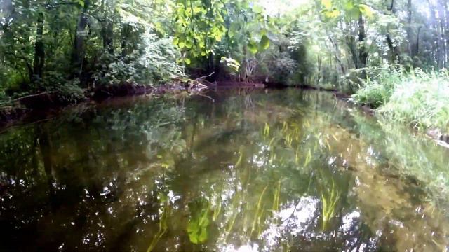 Литва, Аукштайтский национальный парк, Палуше (Paluse) смотреть онлайн