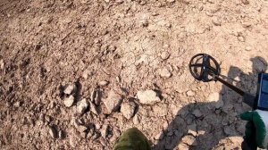 Сегодня в деле два XP DEUS и АКА СИГНУМ МФД | Штурмуем по жаре поля леса в поисках ХАБАРА
