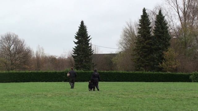 Brigitte c смотреть онлайн