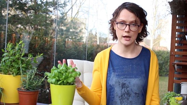 Prieskoniniai žalumynai ant palangės arba balkone - kad jums tikrai pavyktų смотреть онлайн