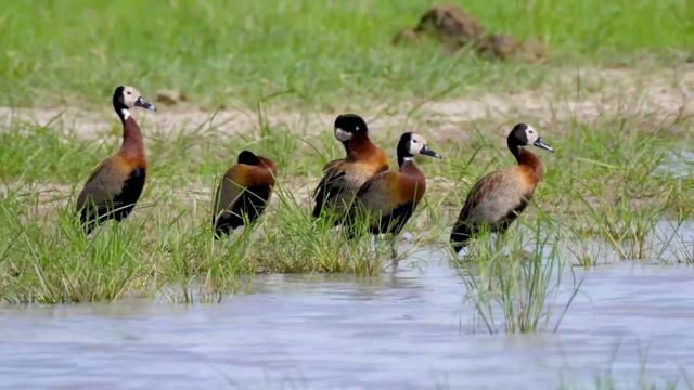 Доброе утро! смотреть онлайн