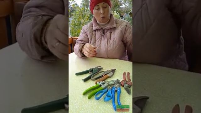 мои помощники на даче инструменты смотреть онлайн