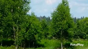 Домик у дороги .