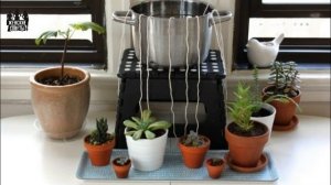 Автополив для Огорода и Комнатных Растений Своими Руками!