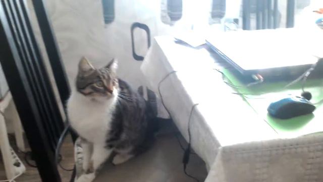 Жрать Жрать Жрать смотреть онлайн