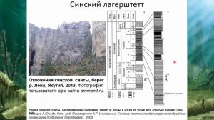 540-485 Палеозой_Кембрий (Попов)