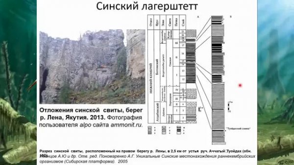 540-485 Палеозой_Кембрий (Попов)