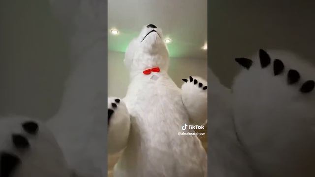 ?Улыбайся с танцующим белым мишкой! ?? смотреть онлайн